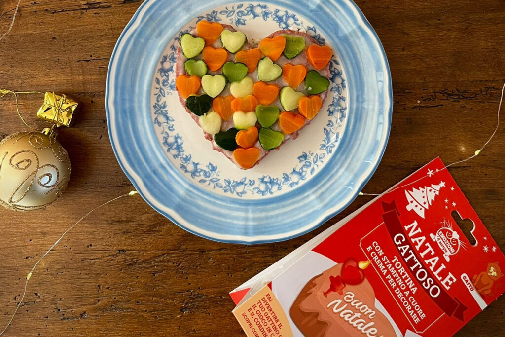 ricetta natalizia per gatti
