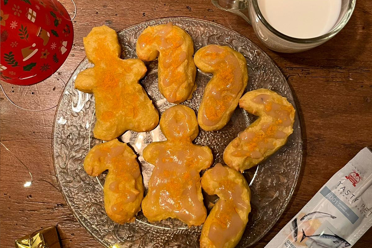 snack per gatti